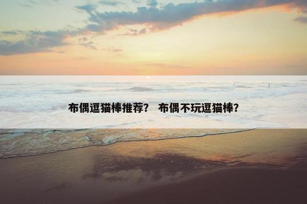 布偶逗猫棒推荐？ 布偶不玩逗猫棒？