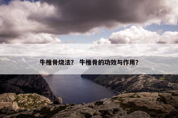 牛椎骨烧法？ 牛椎骨的功效与作用？