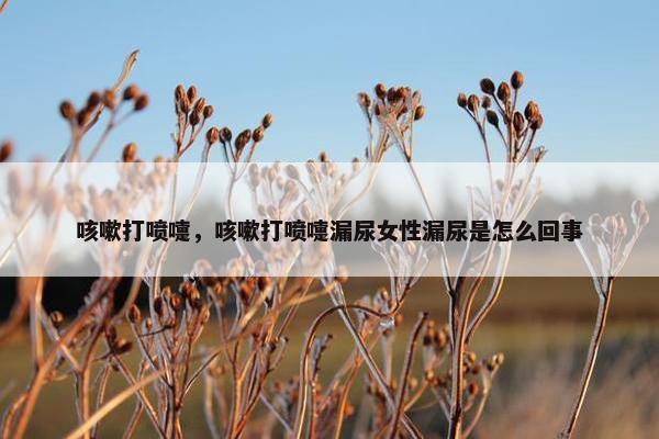 咳嗽打喷嚏，咳嗽打喷嚏漏尿女性漏尿是怎么回事