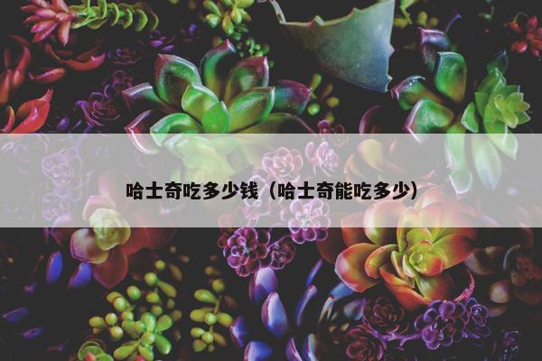 哈士奇吃多少钱（哈士奇能吃多少）