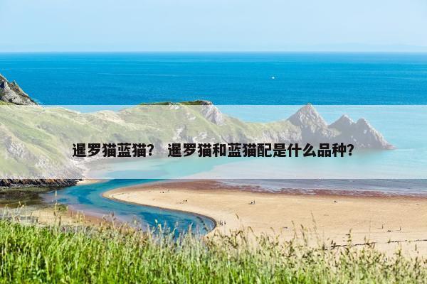暹罗猫蓝猫？ 暹罗猫和蓝猫配是什么品种？