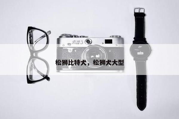 松狮比特犬，松狮犬大型