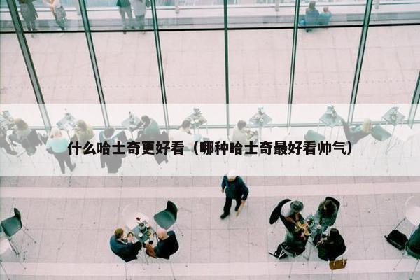 什么哈士奇更好看（哪种哈士奇最好看帅气）