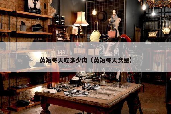 英短每天吃多少肉（英短每天食量）