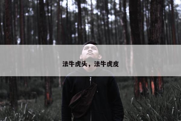 法牛虎头，法牛虎皮