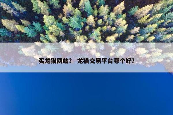 买龙猫网站？ 龙猫交易平台哪个好？