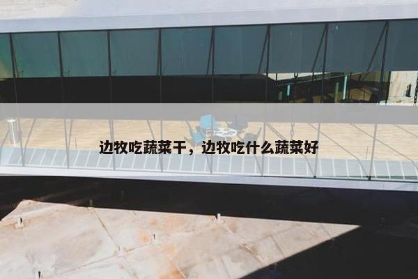 边牧吃蔬菜干，边牧吃什么蔬菜好