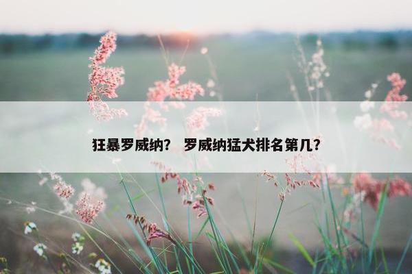 狂暴罗威纳？ 罗威纳猛犬排名第几？