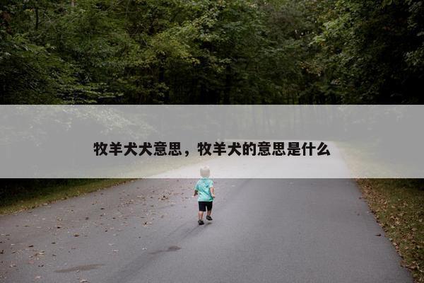 牧羊犬犬意思，牧羊犬的意思是什么