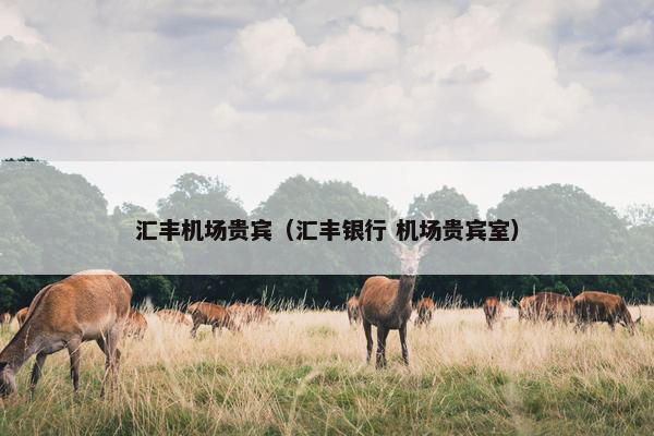 汇丰机场贵宾（汇丰银行 机场贵宾室）