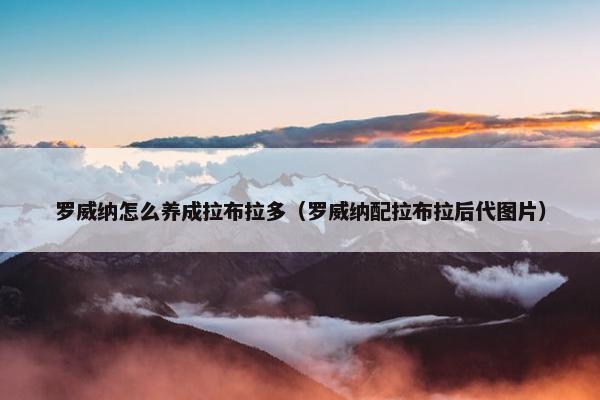 罗威纳怎么养成拉布拉多（罗威纳配拉布拉后代图片）