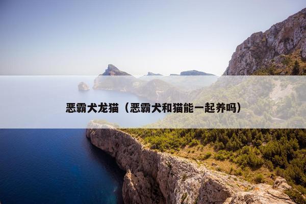 恶霸犬龙猫（恶霸犬和猫能一起养吗）