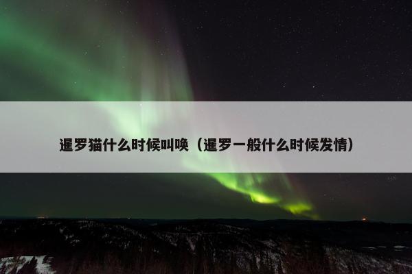 暹罗猫什么时候叫唤（暹罗一般什么时候发情）