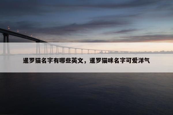 暹罗猫名字有哪些英文，暹罗猫咪名字可爱洋气