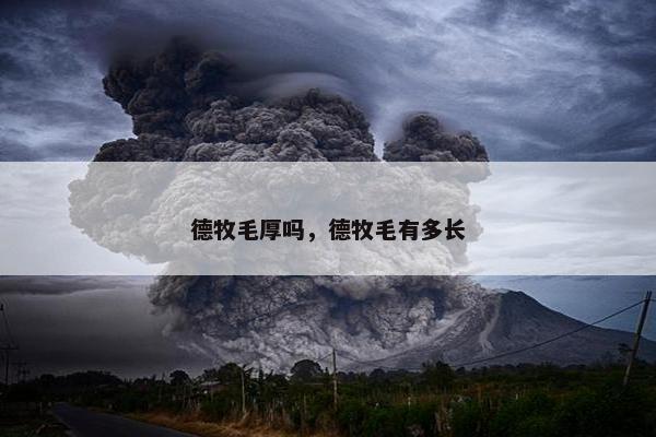 德牧毛厚吗，德牧毛有多长