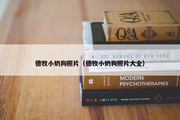 德牧小奶狗照片（德牧小奶狗照片大全）