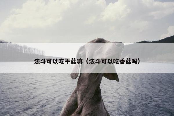 法斗可以吃平菇嘛（法斗可以吃香菇吗）