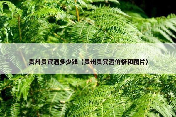 贵州贵宾酒多少钱（贵州贵宾酒价格和图片）