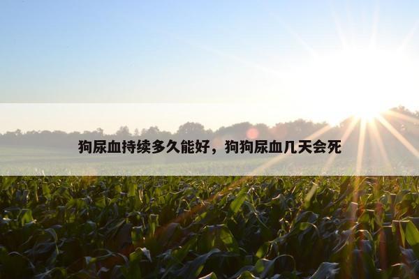 狗尿血持续多久能好，狗狗尿血几天会死