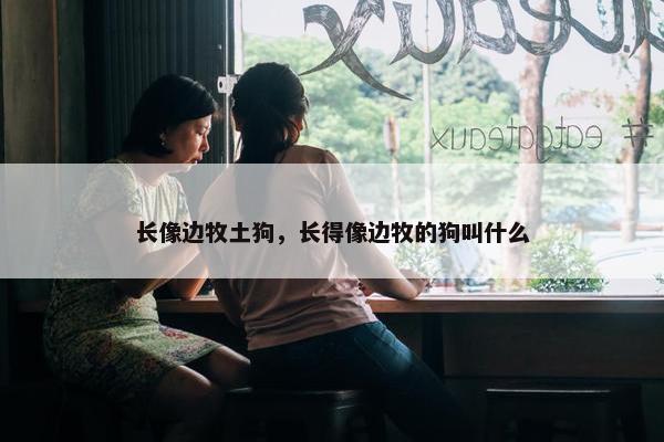 长像边牧土狗，长得像边牧的狗叫什么