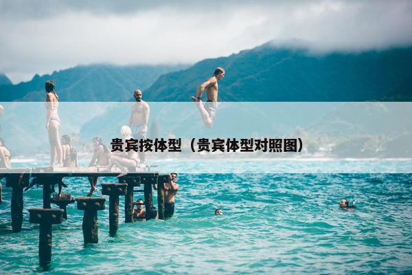 贵宾按体型（贵宾体型对照图）