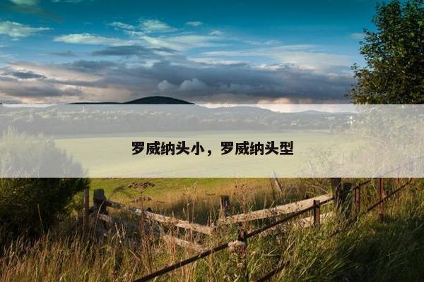 罗威纳头小，罗威纳头型