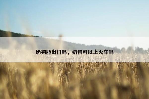 奶狗能出门吗，奶狗可以上火车吗