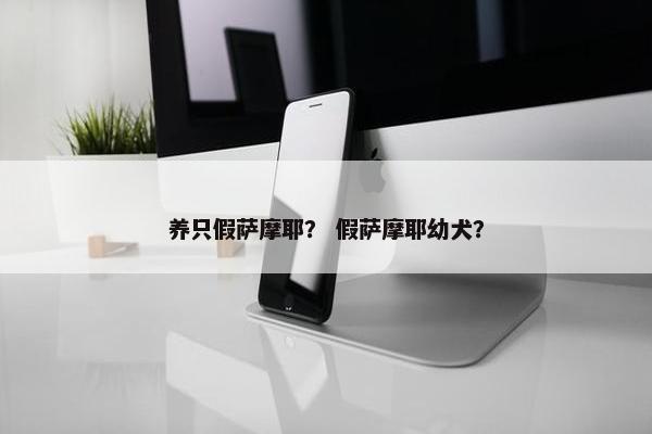 养只假萨摩耶？ 假萨摩耶幼犬？