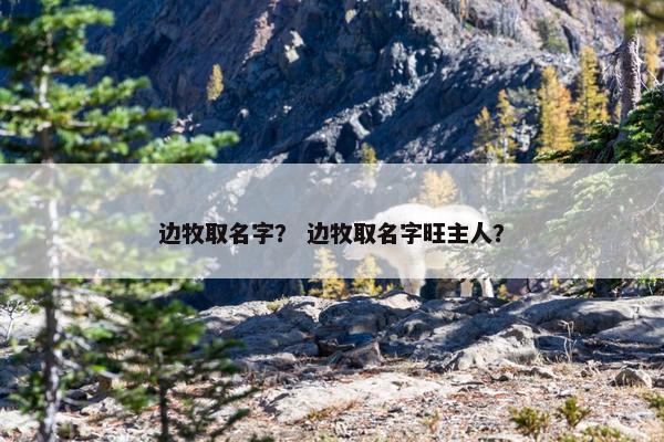 边牧取名字？ 边牧取名字旺主人？