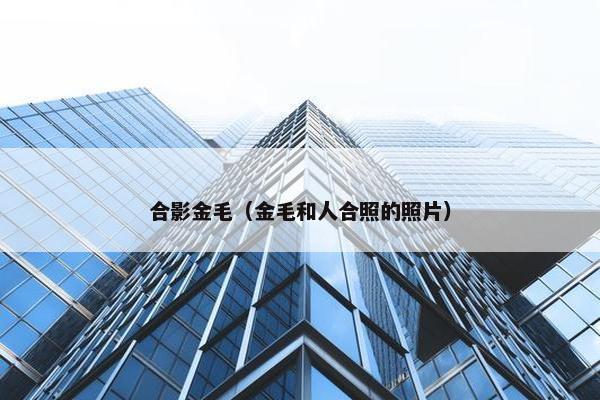 合影金毛（金毛和人合照的照片）
