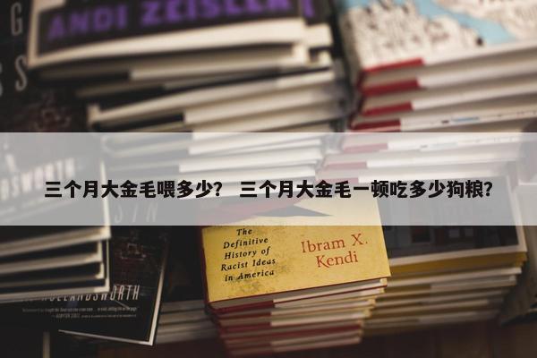 三个月大金毛喂多少？ 三个月大金毛一顿吃多少狗粮？