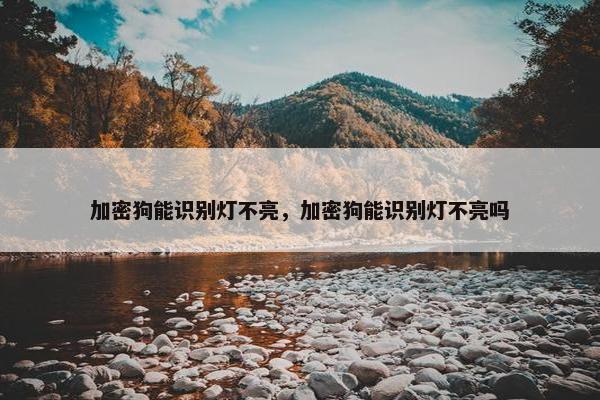 加密狗能识别灯不亮，加密狗能识别灯不亮吗