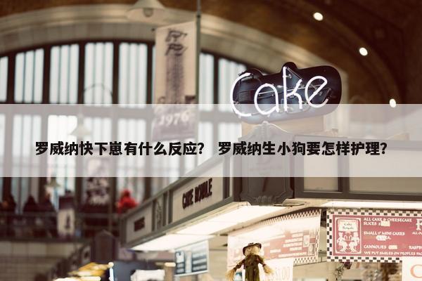 罗威纳快下崽有什么反应？ 罗威纳生小狗要怎样护理？