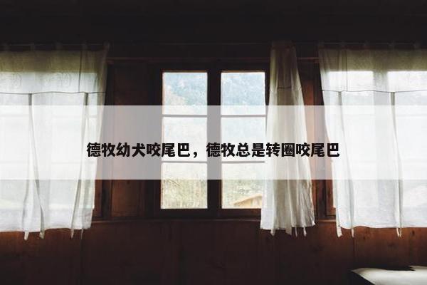 德牧幼犬咬尾巴，德牧总是转圈咬尾巴