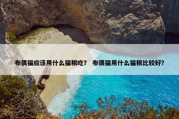 布偶猫应该用什么猫粮吃？ 布偶猫用什么猫粮比较好？