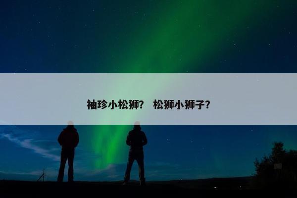 袖珍小松狮？ 松狮小狮子？