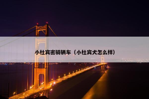 小杜宾密骑辆车（小杜宾犬怎么样）