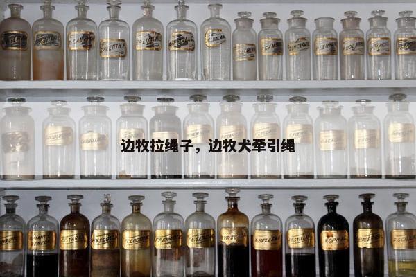 边牧拉绳子，边牧犬牵引绳