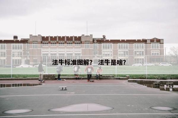 法牛标准图解？ 法牛是啥？