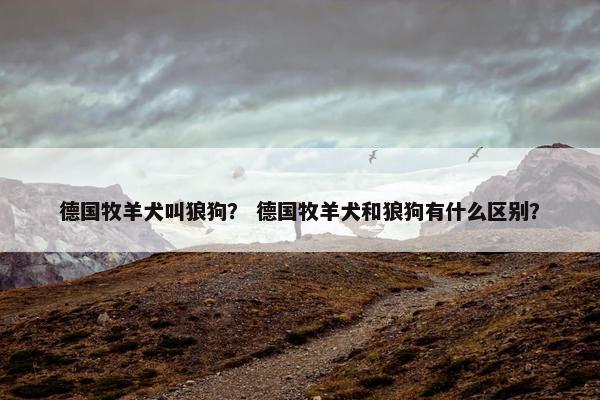 德国牧羊犬叫狼狗？ 德国牧羊犬和狼狗有什么区别？