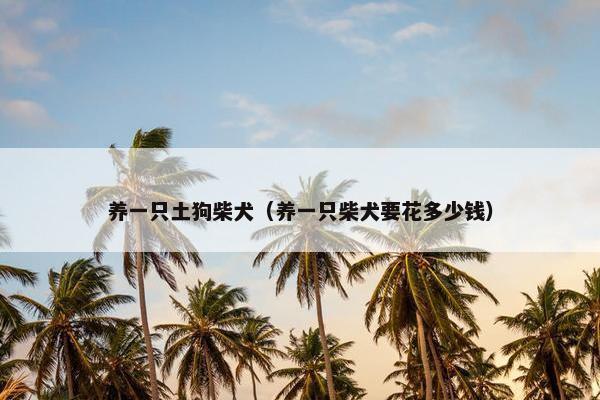 养一只土狗柴犬（养一只柴犬要花多少钱）