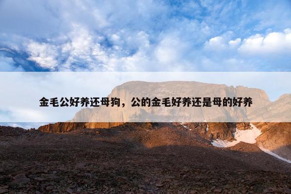 金毛公好养还母狗，公的金毛好养还是母的好养