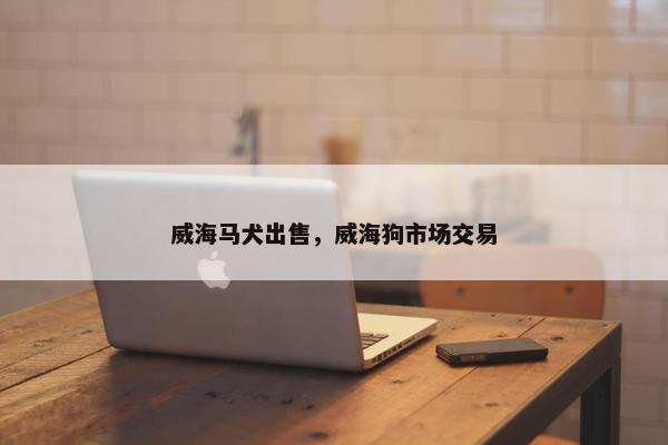 威海马犬出售，威海狗市场交易