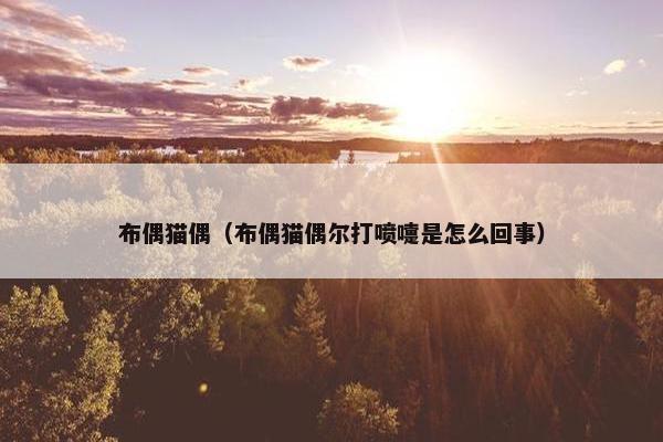 布偶猫偶（布偶猫偶尔打喷嚏是怎么回事）