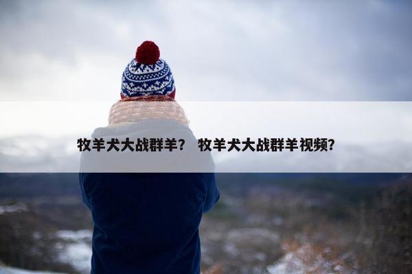 牧羊犬大战群羊？ 牧羊犬大战群羊视频？