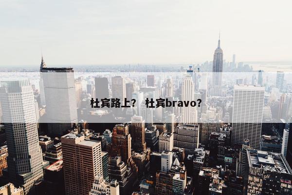 杜宾路上？ 杜宾bravo？