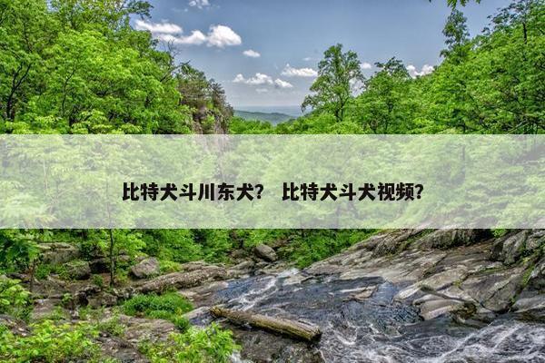 比特犬斗川东犬？ 比特犬斗犬视频？