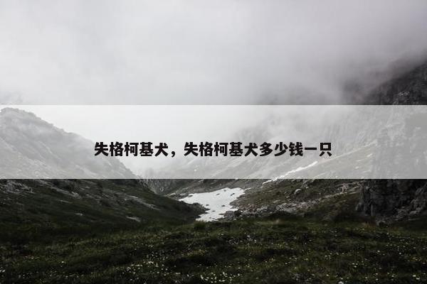 失格柯基犬，失格柯基犬多少钱一只