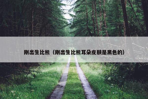 刚出生比熊（刚出生比熊耳朵皮肤是黑色的）