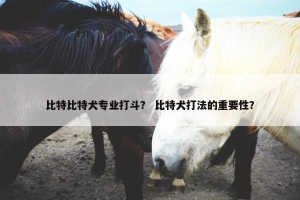 比特比特犬专业打斗？ 比特犬打法的重要性？